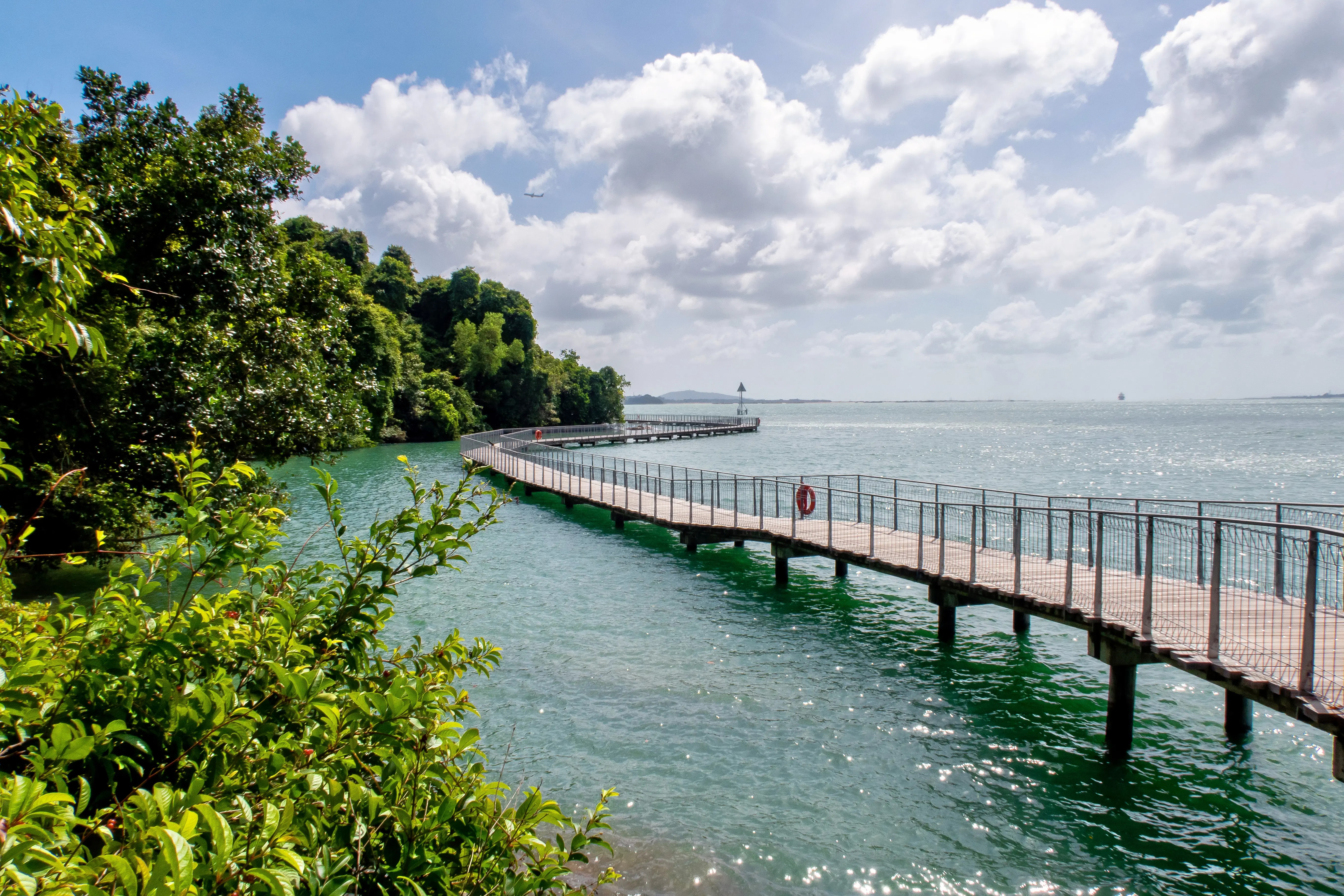 The Offbeat Singapore · Pulau Ubin + Hidden Neighbourhoods