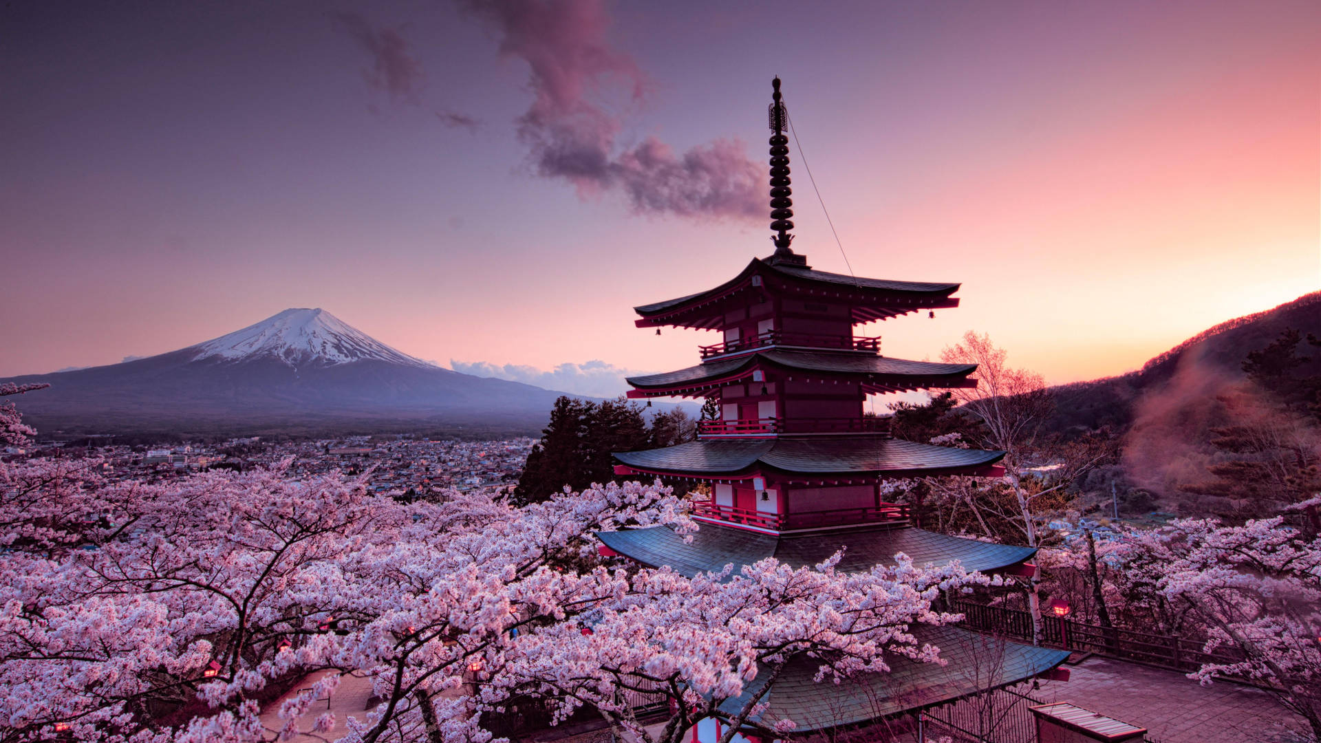 Tokyo Sightseeing Tour